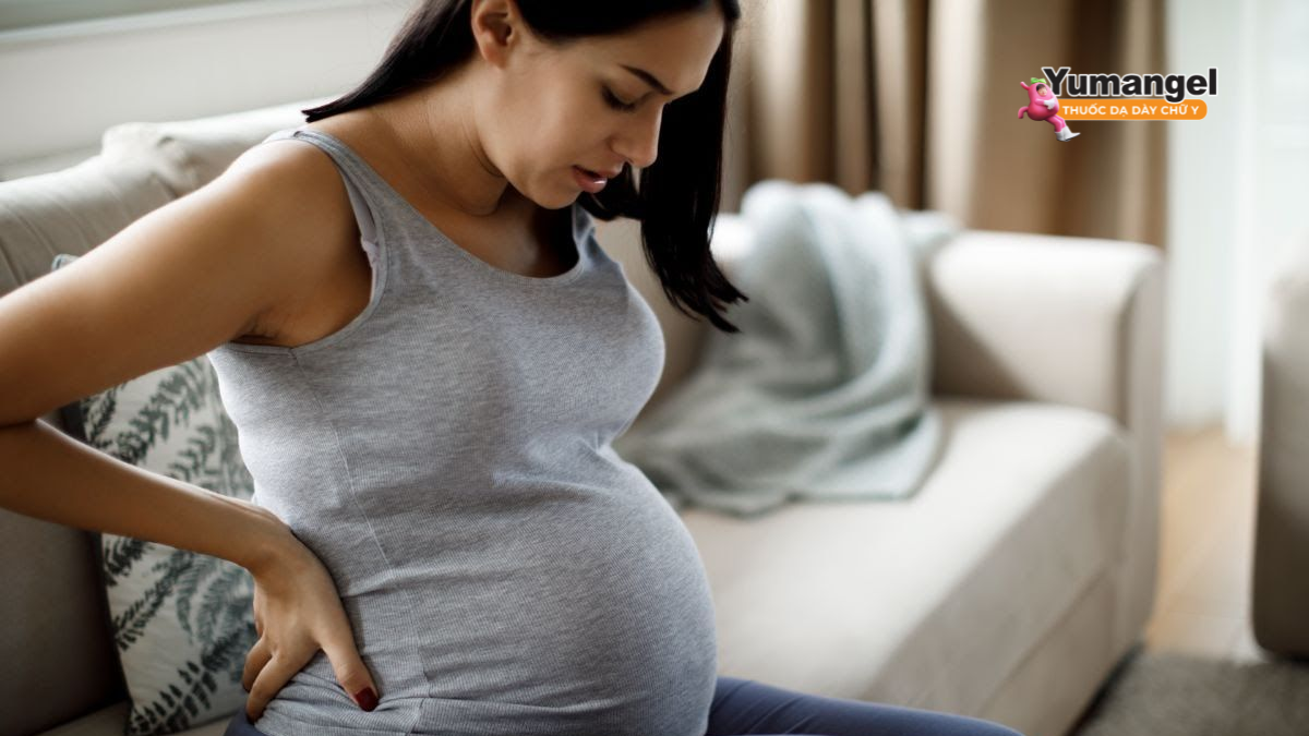 Sự gia tăng hormone Progesterone trong thai kỳ làm giãn cơ thắt thực quản dưới gây trào ngược ở bà bầu