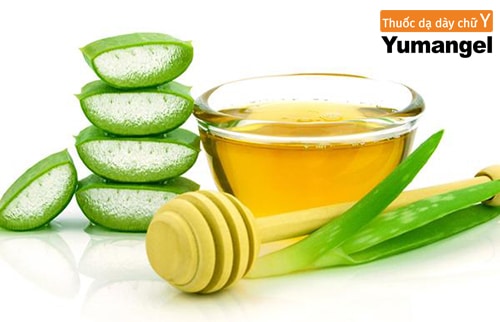 Chữa trào ngược dạ dày bằng nha đam và mật ong Chữa trào ngược dạ dày bằng nha đam và mật ong