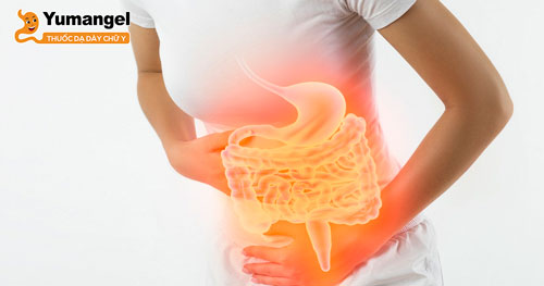 Rối loạn dạ dày có thể do bệnh lý hoặc ăn uống sinh hoạt không khoa học, căng thẳng kéo dài.