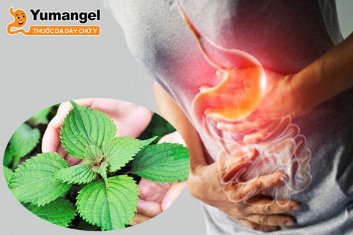 trao-nguoc-da-day-thuc-quan