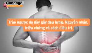 Trào ngược dạ dày gây đau lưng Nguyên nhân, triệu chứng và cách điều trị