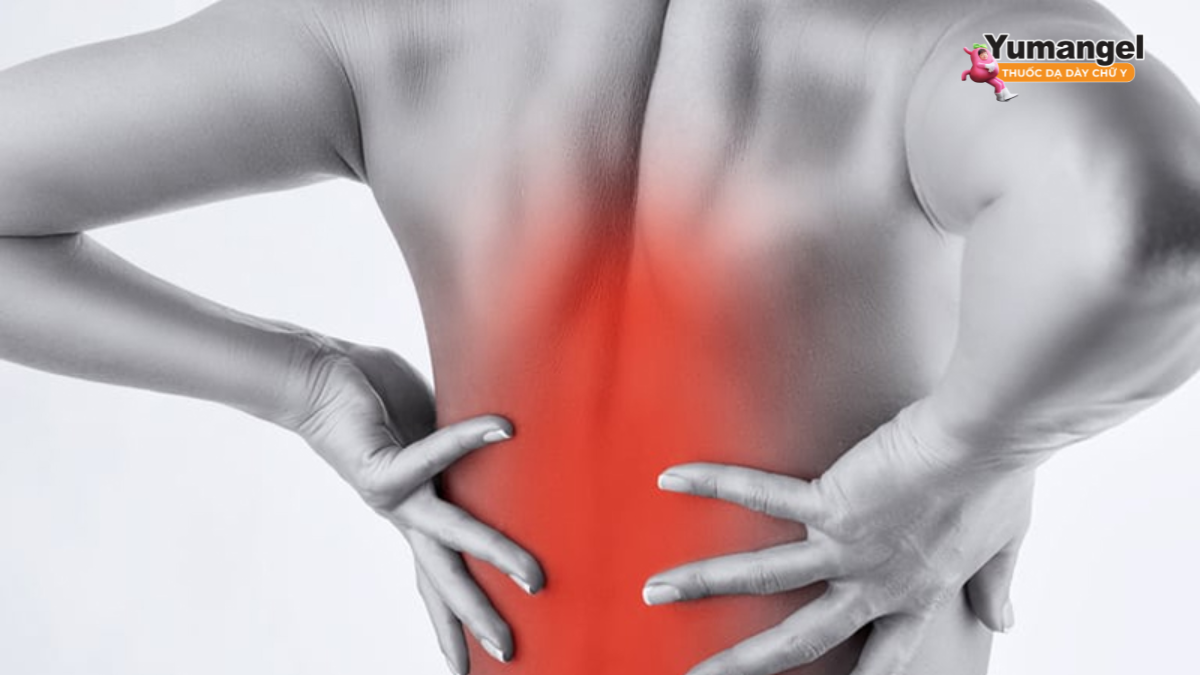 Trào ngược dạ dày gây đau lưng liên quan đến cách các dây thần kinh truyền tín hiệu đau
