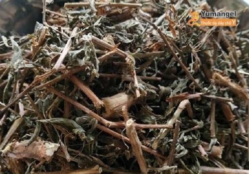 Nước sắc rau mương xao có thể chữa trào ngược dạ dày Nước sắc rau mương xao có thể chữa trào ngược dạ dày