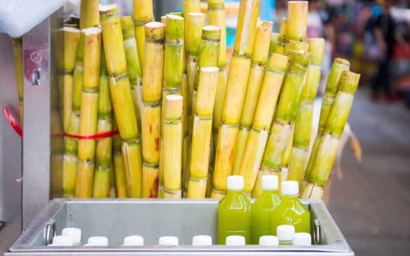 dau-da-day-uong-duoc-nuoc-mia-khong-2