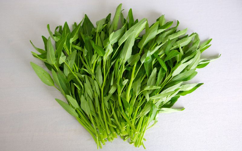 dau-da-day-an-duoc-rau-muong-khong-1