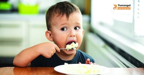 Trẻ ăn cơm sớm có bị đau dạ dày? Cách tập ăn thô cho bé!
