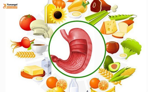 Thực đơn cho người mổ ung thư dạ dày