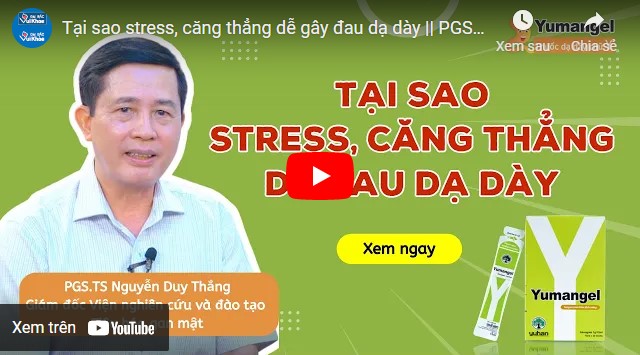 Video căng thẳng stress đau dạ dày