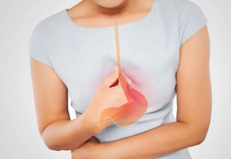Mô phỏng cơ chế acid và pepsin trào lên thanh quản trong LPR