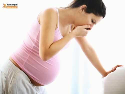 Bị rối loạn tiêu hoá khi mang bầu