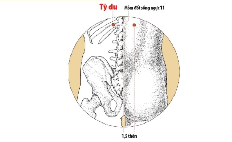 bấm huyệt chữa đầy bụng