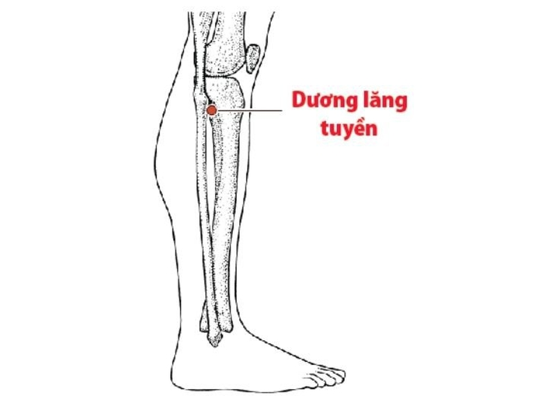 bấm huyệt chữa đầy bụng