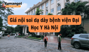 Bệnh viện Đại học Y Hà Nội Giá Nội Soi Dạ Dày