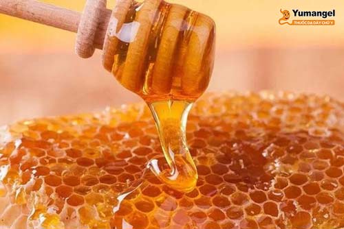 Uống mật ong tươi trị trào ngược dạ dày