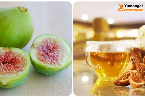 Uống trà quả sung giúp hỗ trợ điều trị các triệu chứng trào ngược