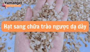 Hạt sang phù hợp với hầu hết người bệnh bị bệnh dạ dày, đại tràng