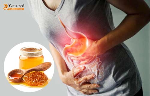 Đau dạ dày uống mật ong được không? 11 cách dùng hiệu quả