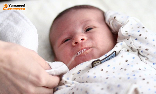 Trẻ sơ sinh bị trào ngược do hệ tiêu hóa chưa phát triển hoàn thiện