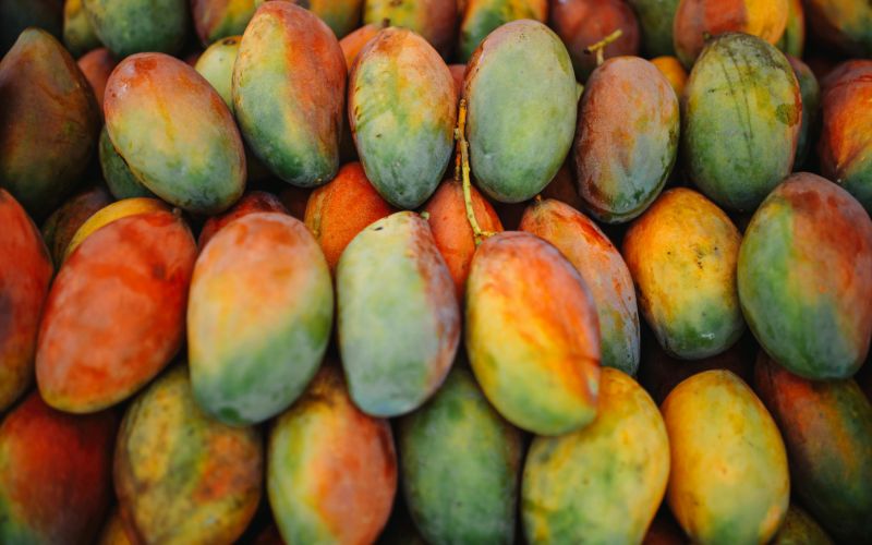 trao-nguoc-da-day-an-xoai-chin-4