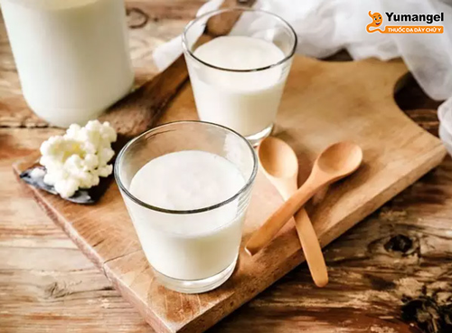 Người bị trào ngược không nên uống sữa có lượng chất béo cao.