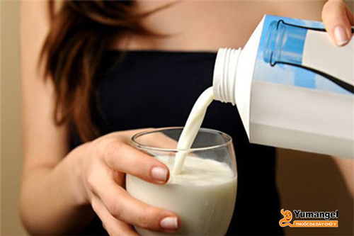 Người bị viêm loét dạ dày có nên uống sữa không?