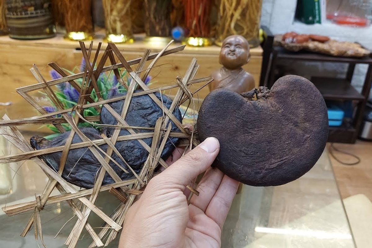 da-day-nhim-chua-benh-da-day-1