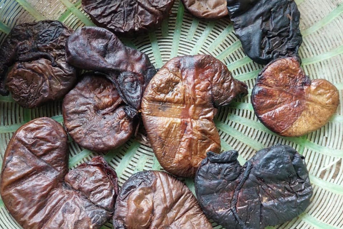 da-day-nhim-chua-benh-da-day-3