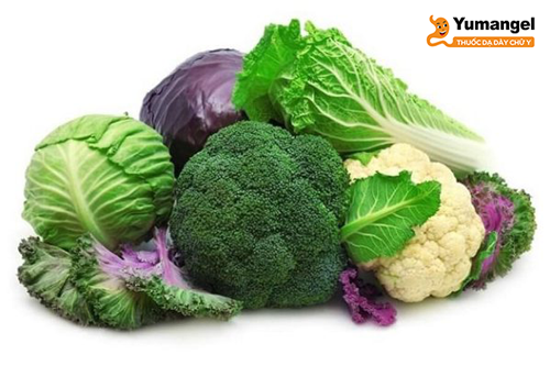 Một số loại rau xanh tốt cho người bị viêm hang vị dạ dày bắp cải, rau ngót, rau lang, súp lơ, cải bó xôi, rau dền…