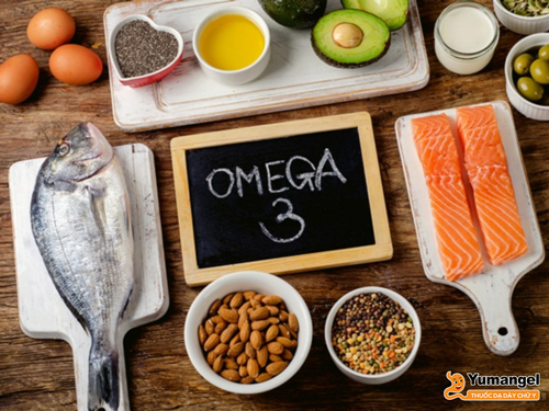 Một số thực phẩm giàu omega 3 tốt cho bệnh nhân viêm hang vị dạ dày