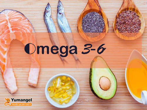 Một số chất béo lành mạnh như Omega 6, Omega 3 và vitamin E có khả năng bảo vệ ổ viêm loét, bao phủ niêm mạc dạ dày