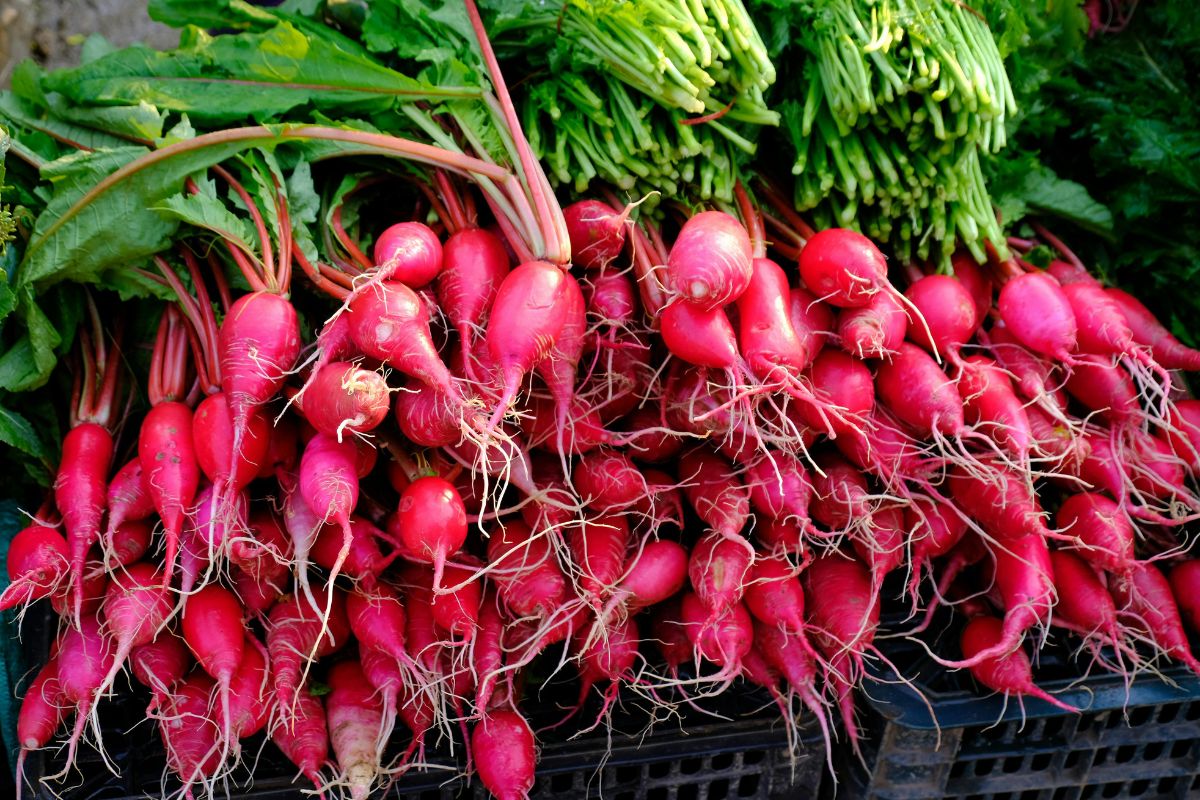 dau-da-day-co-an-duoc-cu-cai-khong-2