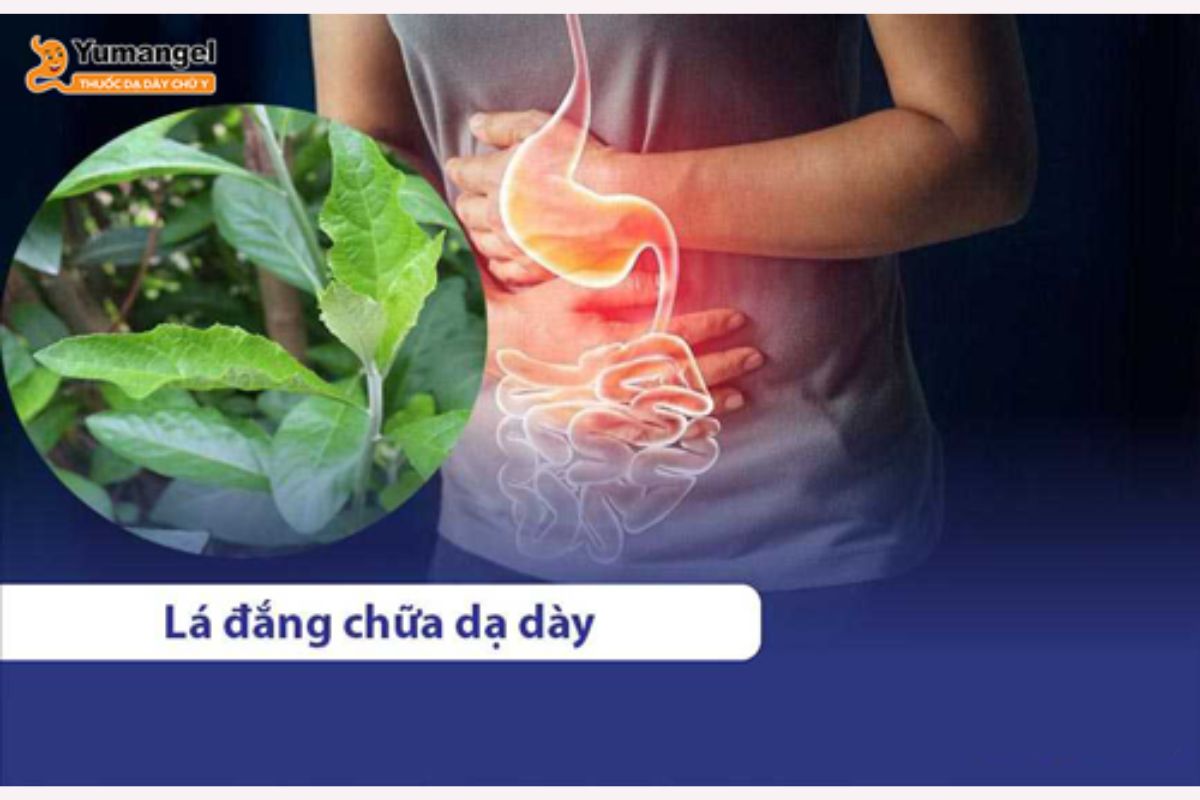 la-dang-chua-benh-da-day-4