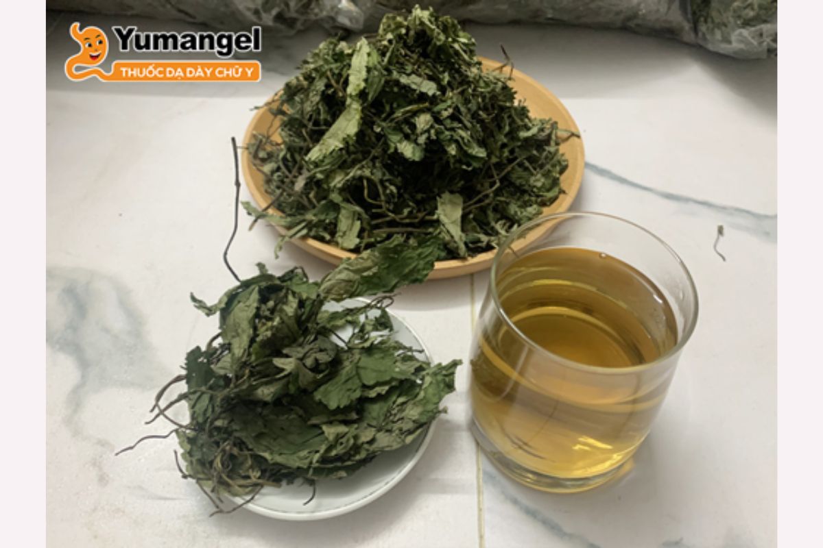 la-dang-chua-benh-da-day-7