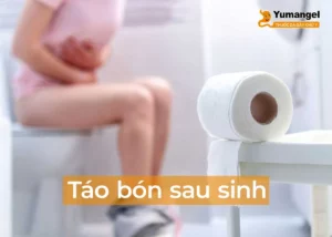 Táo bón sau sinh