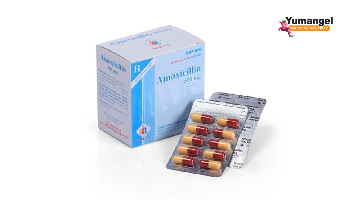 Amoxicillin là một kháng sinh thuộc nhóm penicillin có tác dụng tiêu diệt một số loại vi khuẩn gây bệnh