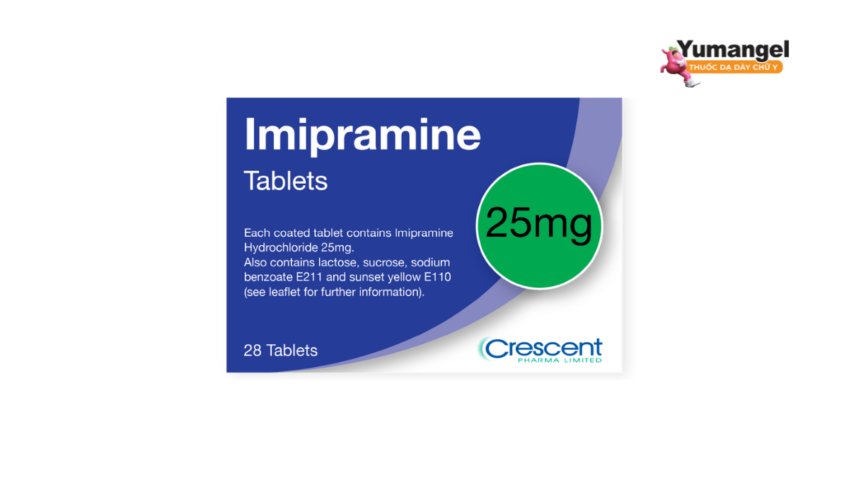 Imipramine là thuốc chống trầm cảm 3 vòng, cơ chế điều trị trầm cảm bằng cách tăng lượng chất hóa học tự nhiên trong não