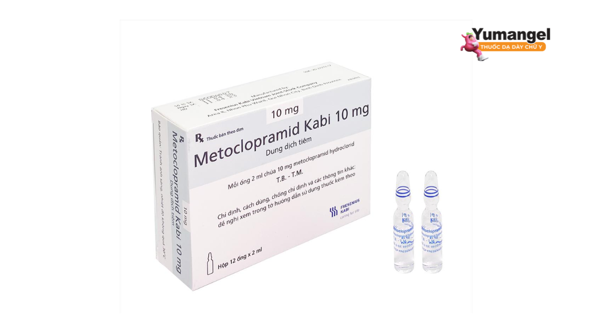 Metoclopramid là thuốc chống nôn, thuốc chẹn thụ thể dopamin và thuốc kích thích nhu động dạ dày - ruột phần trên