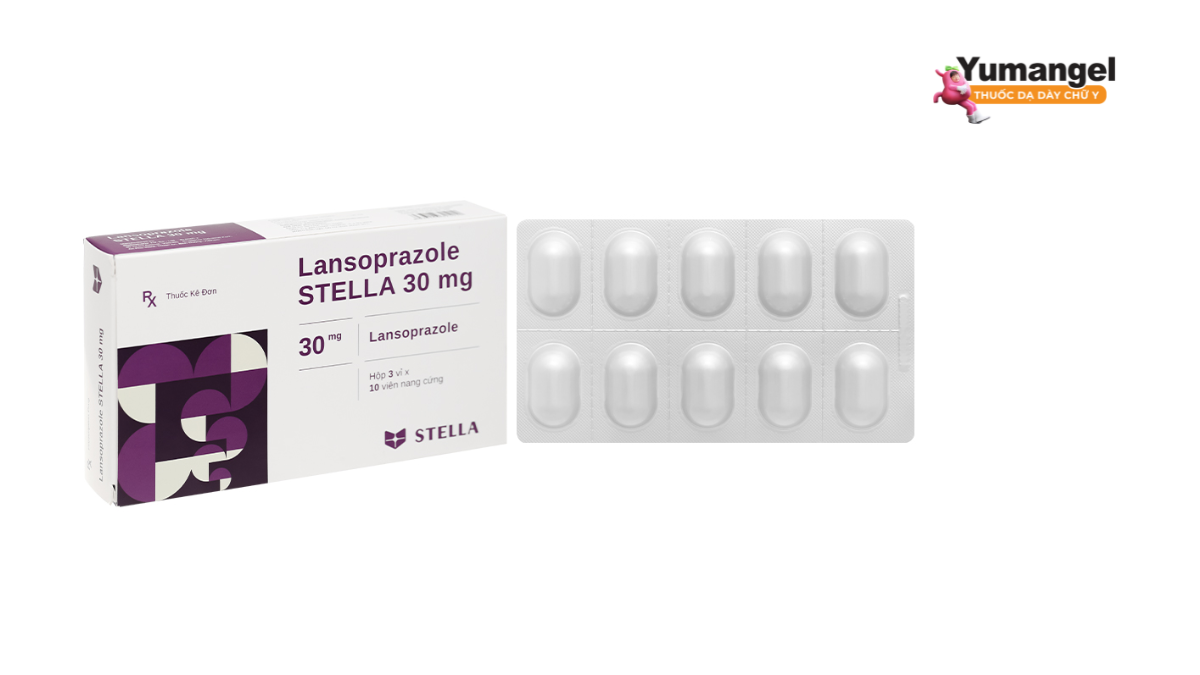 Thuốc Lansoprazole thường được chỉ định để điều trị một số vấn đề về dạ dày và thực quản