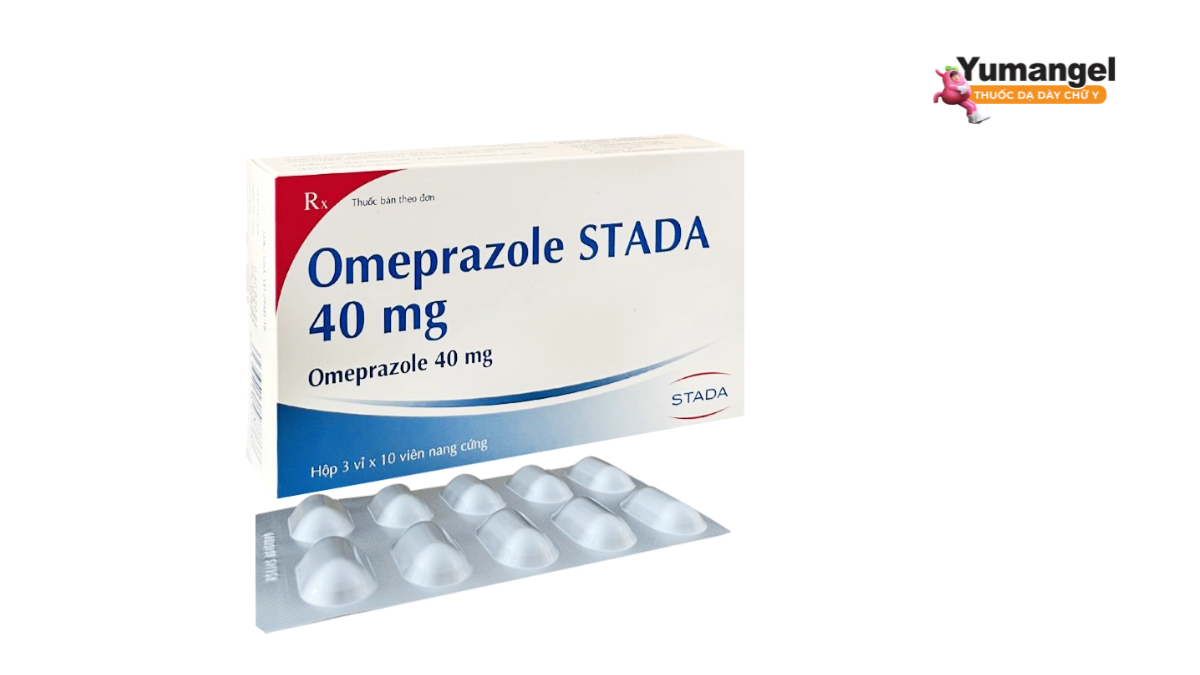 Omeprazole hoạt động bằng cách làm giảm tiết axit trong dạ dày