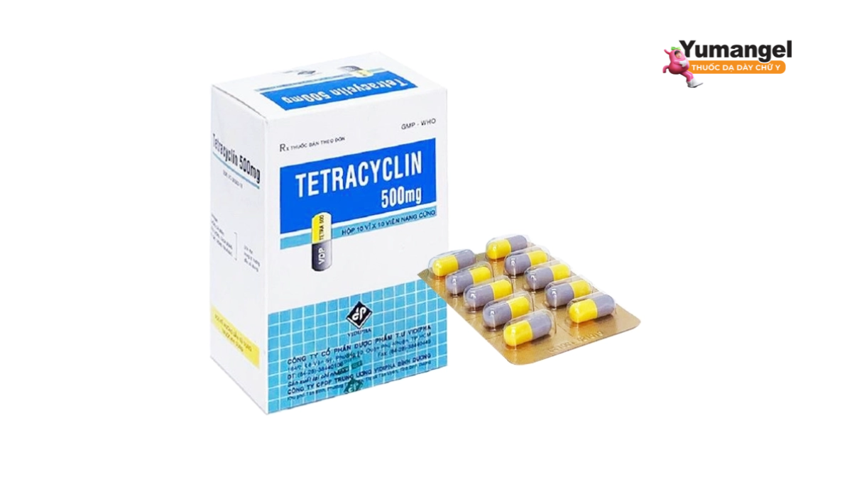 Tetracyclin là một loại kháng sinh chống lại nhiễm trùng do vi khuẩn
