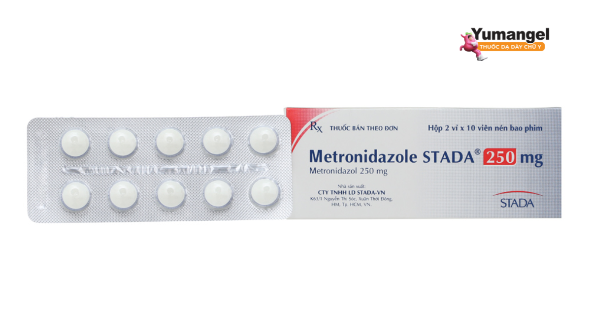 Thuốc kháng sinh điều trị nhiễm khuẩn Metronidazole được sử dụng trong chỉ định điều trị nhiều loại bệnh nhiễm trùng