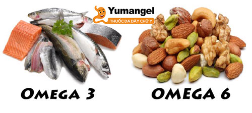 Người bị HP dạ dày nên ăn thực phẩm nhiều Omega-3 và omega-6