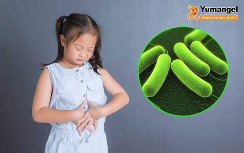Trẻ bị nhiễm vi khuẩn HP có thể bị đau bụng, buồn nôn, tiêu chảy hoặc táo bón.