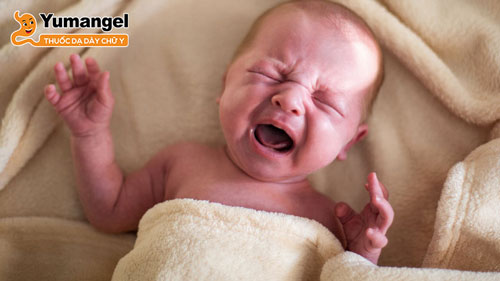 Trẻ sơ sinh khóc về đêm có thể do khóc dạ đề hoặc không dung nạp lactose.