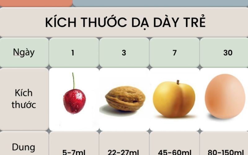 da-day-tre-so-sinh-1