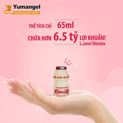 Yakult là dòng sữa chua uống được lên men chứa hàng tỉ lợi khuẩn Lactobacillus casei Shirota có lợi cho đường ruột và hệ tiêu hóa. 