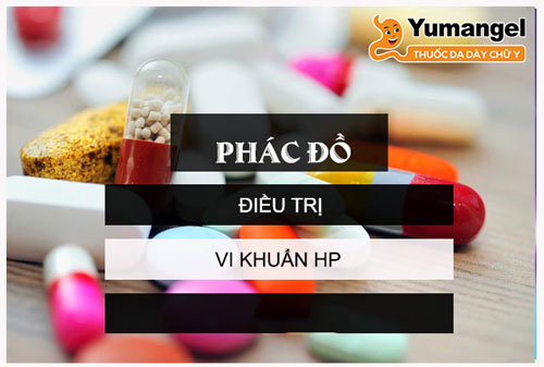 Bệnh nhân cần tuân thủ theo đúng phác đồ điều trị vi khuẩn HP của bác sĩ. 