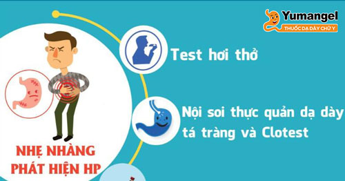 Xét nghiệm vi khuẩn HP là một phương pháp quan trọng trong việc chẩn đoán và theo dõi nhiễm HP trong dạ dày. 