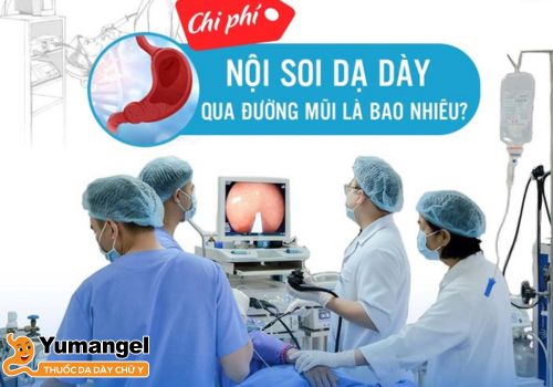 Chi phí nội soi dạ dày có sự chênh lệch giữa cơ sở y tế