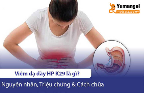 Viêm dạ dày HP K29 là tình trạng bệnh viêm dạ dày xảy ra do nhiễm trùng vi khuẩn HP. 